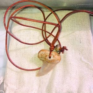 Cute mako shark tooth necklace